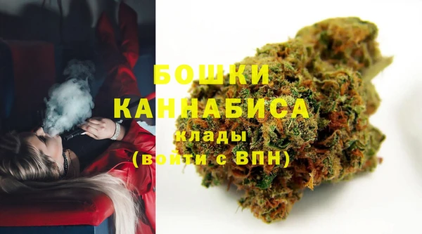 прущая мука Каменка