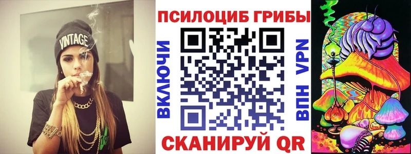 Псилоцибиновые грибы Magic Shrooms  Купить где  Жердевка 